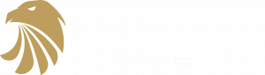Logo white